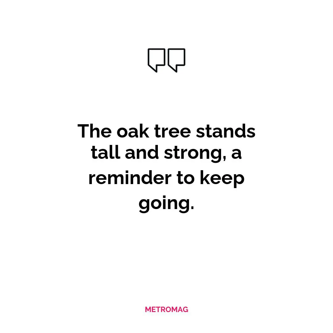 The oak tree stands tall and strong, a reminder to keep going.