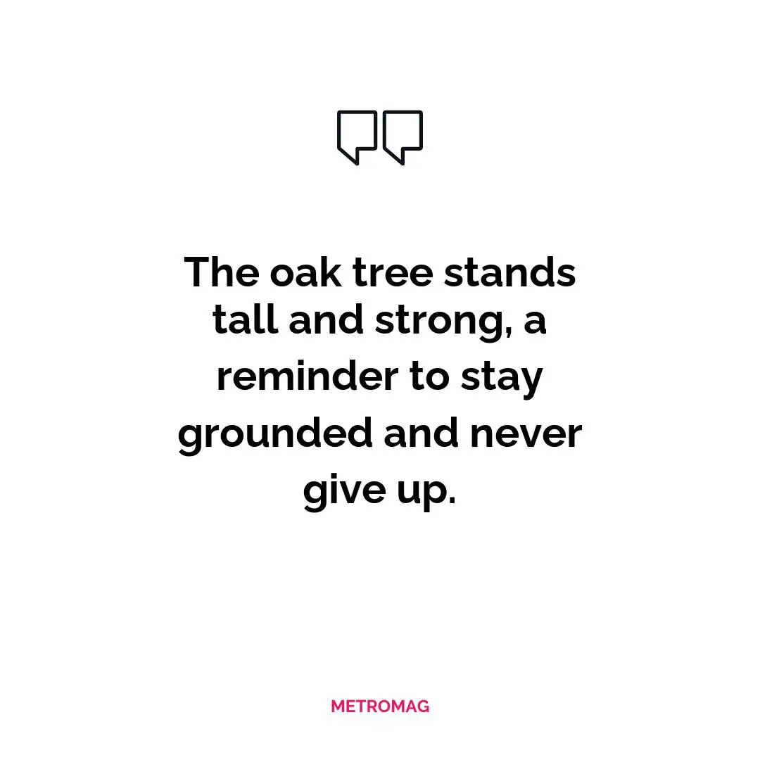 The oak tree stands tall and strong, a reminder to stay grounded and never give up.