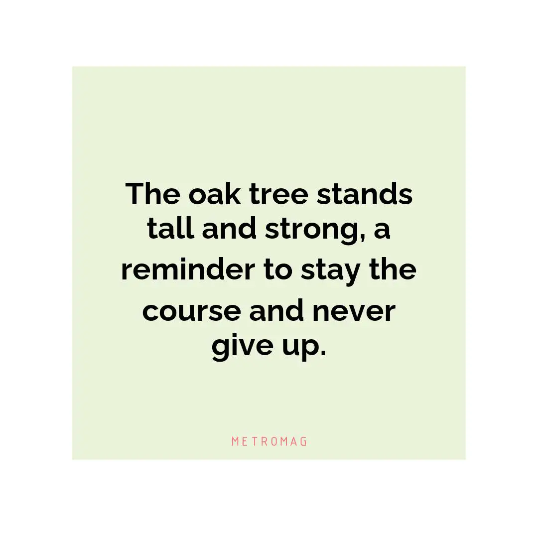 The oak tree stands tall and strong, a reminder to stay the course and never give up.