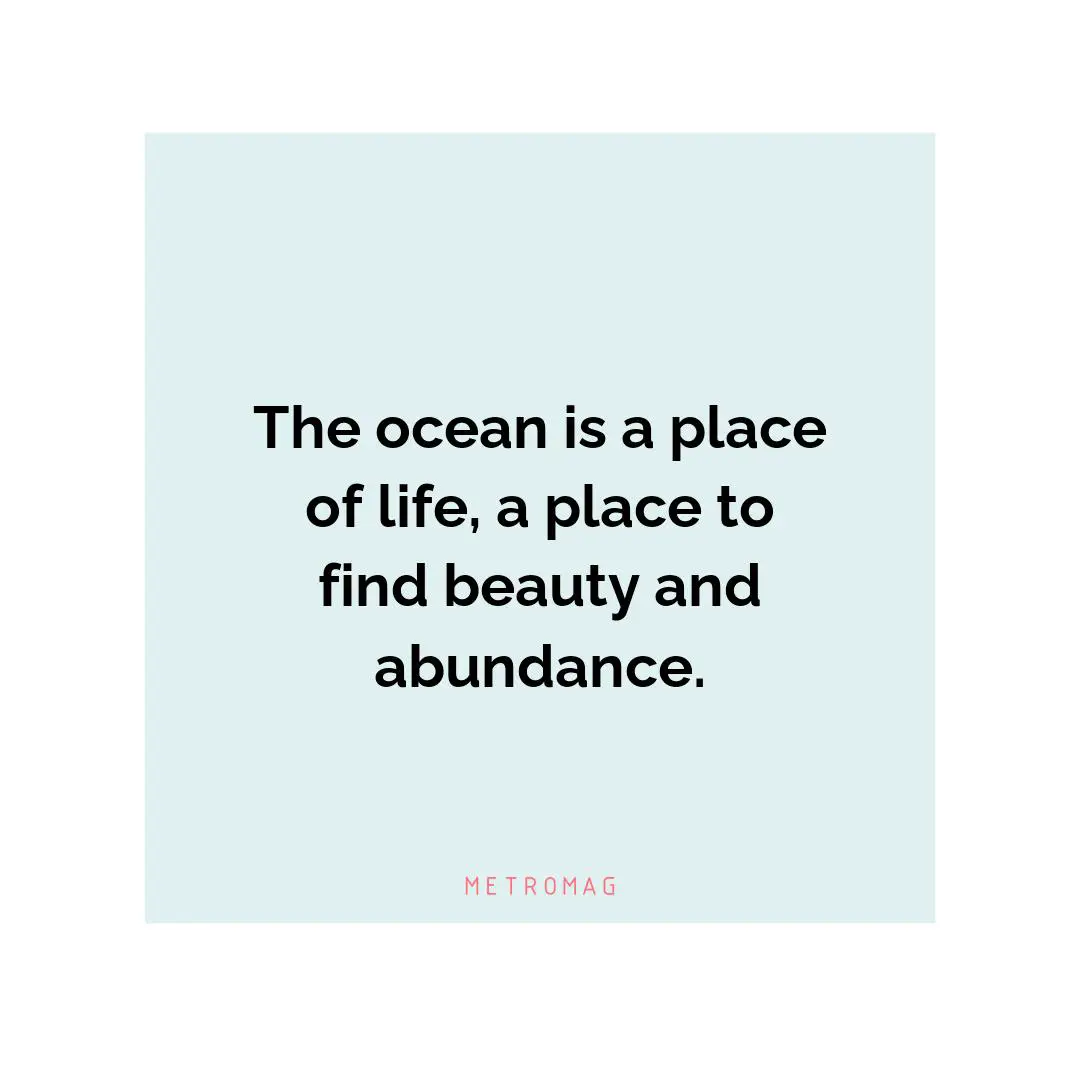 The ocean is a place of life, a place to find beauty and abundance.