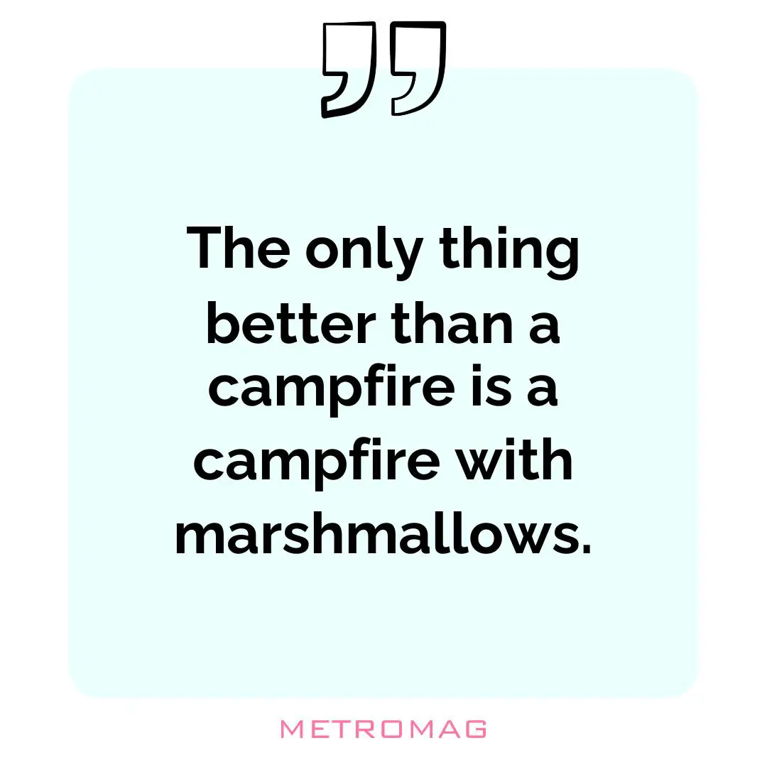 The only thing better than a campfire is a campfire with marshmallows.