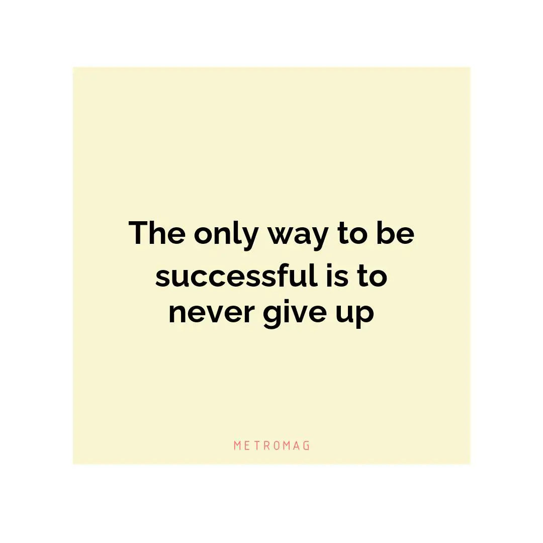 The only way to be successful is to never give up
