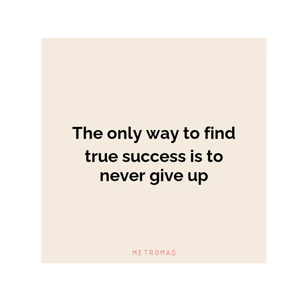 The only way to find true success is to never give up