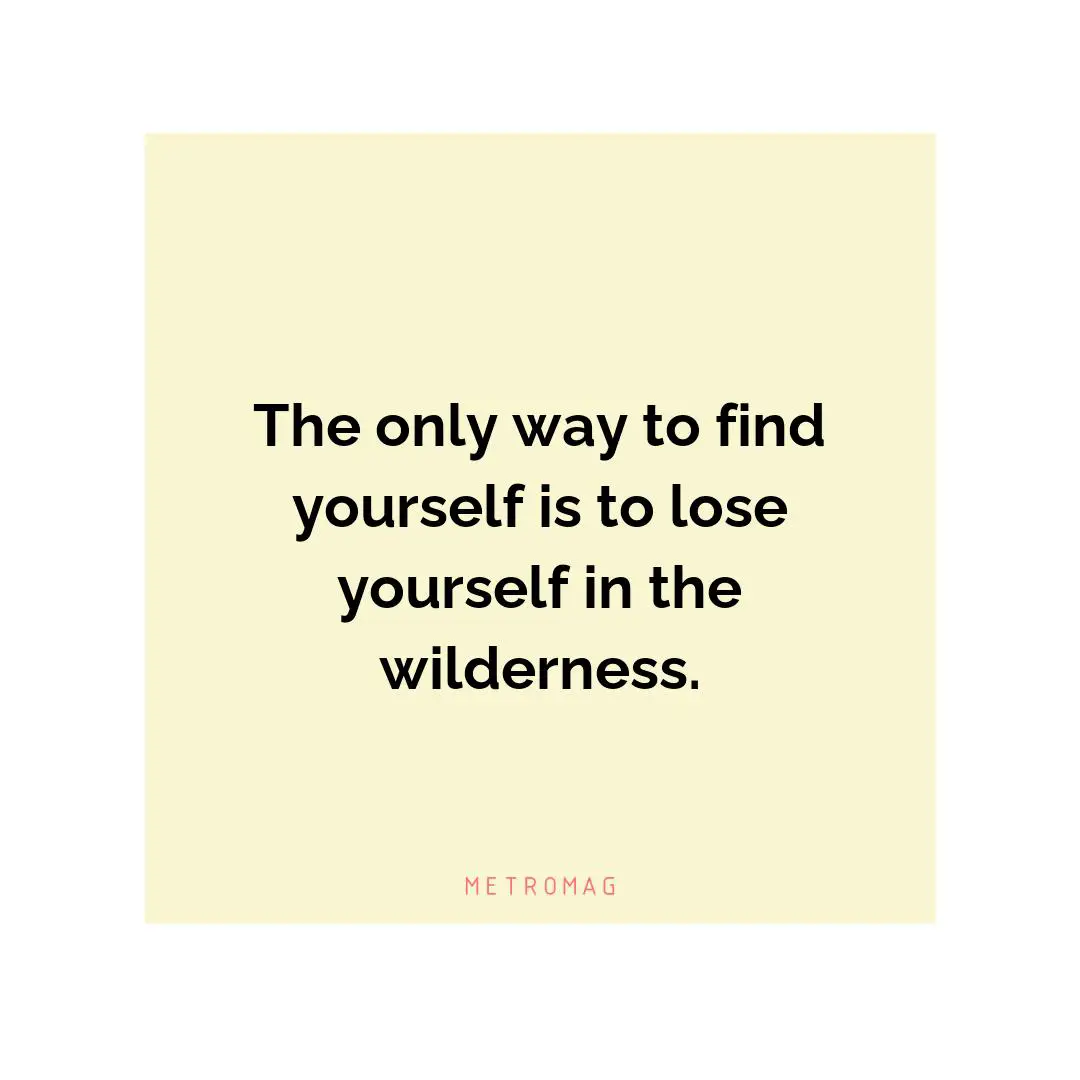 The only way to find yourself is to lose yourself in the wilderness.
