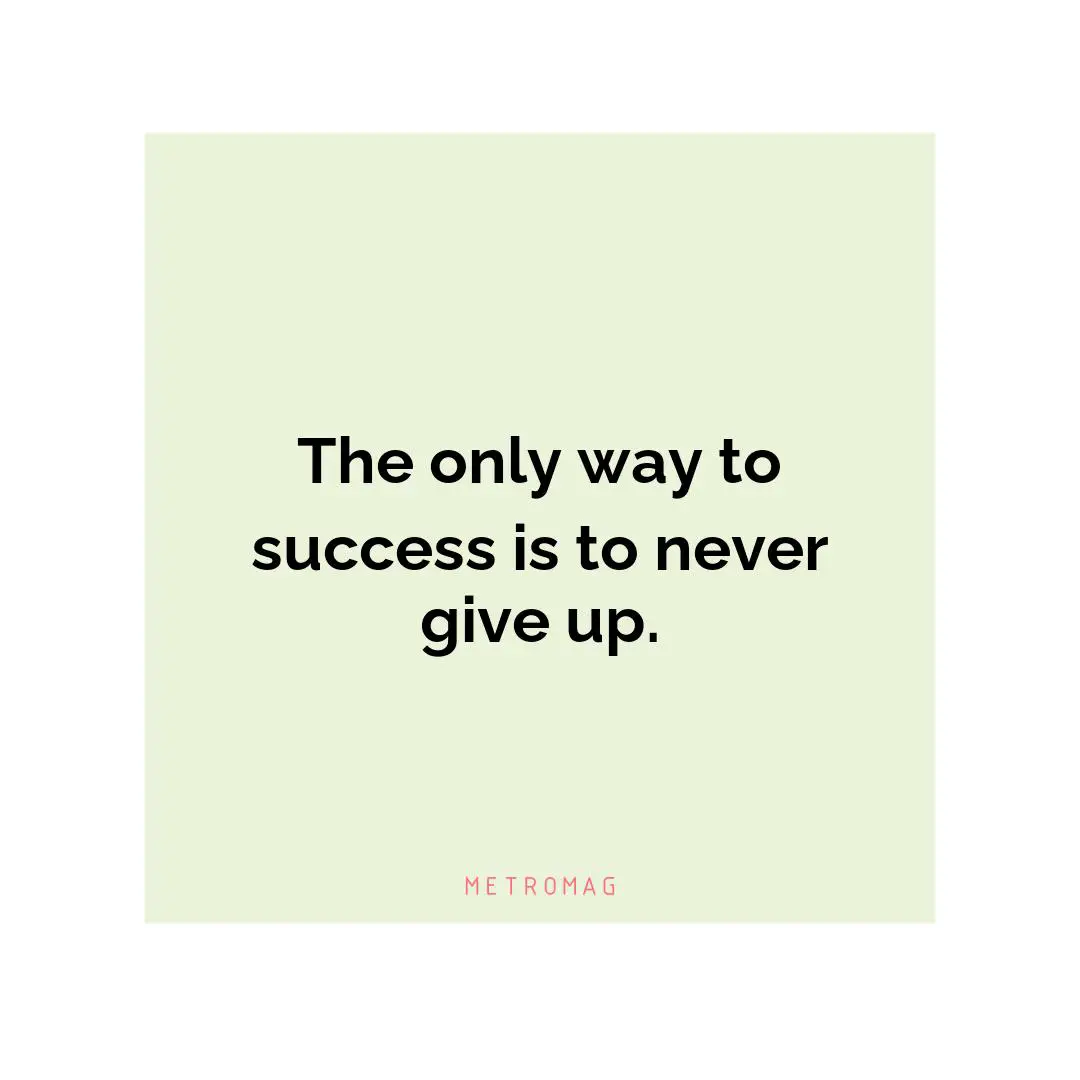 The only way to success is to never give up.