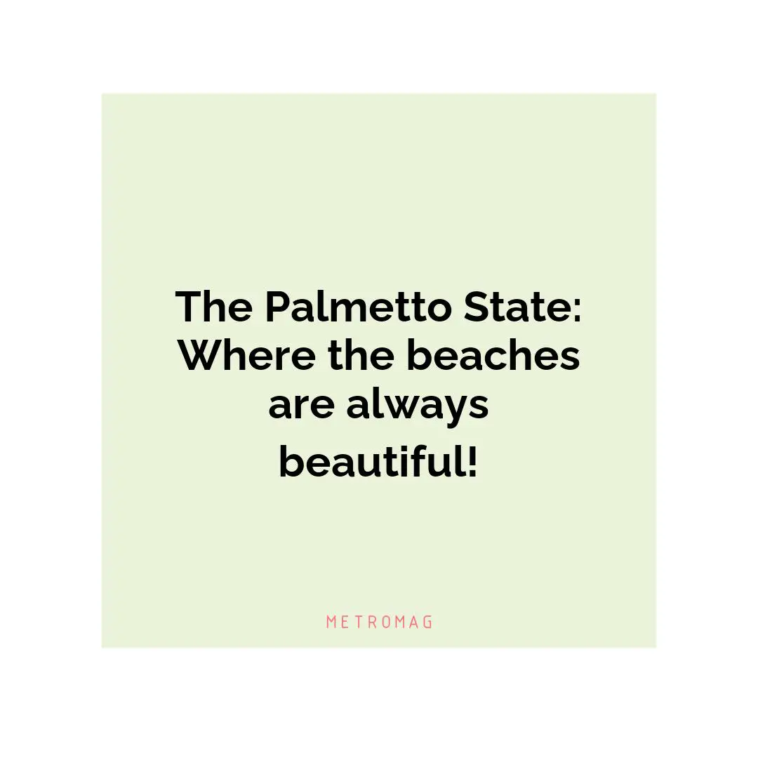 The Palmetto State: Where the beaches are always beautiful!