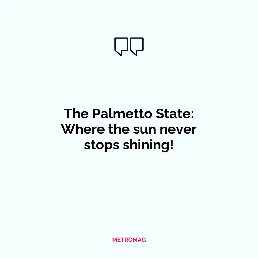 The Palmetto State: Where the sun never stops shining!