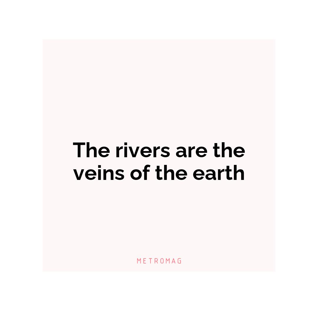 The rivers are the veins of the earth