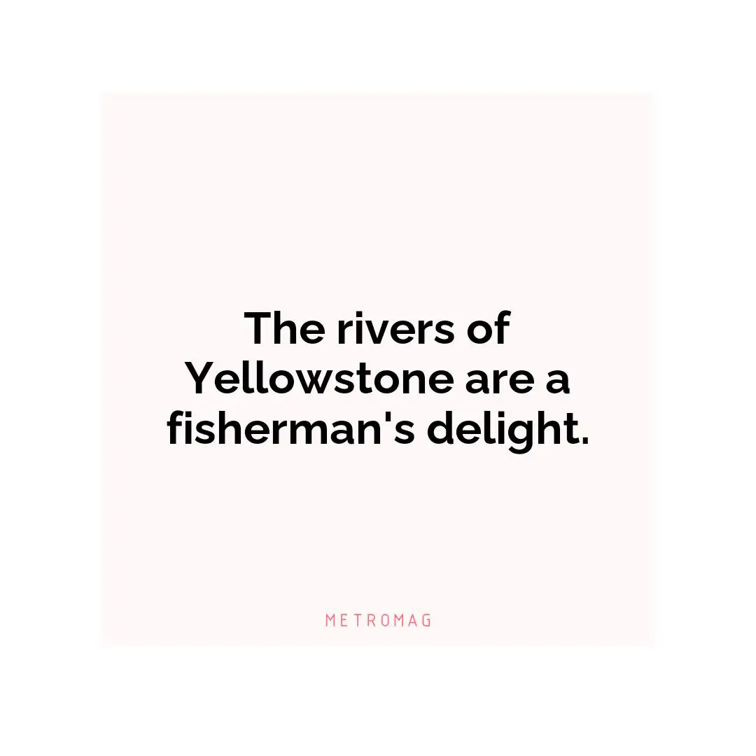 The rivers of Yellowstone are a fisherman's delight.