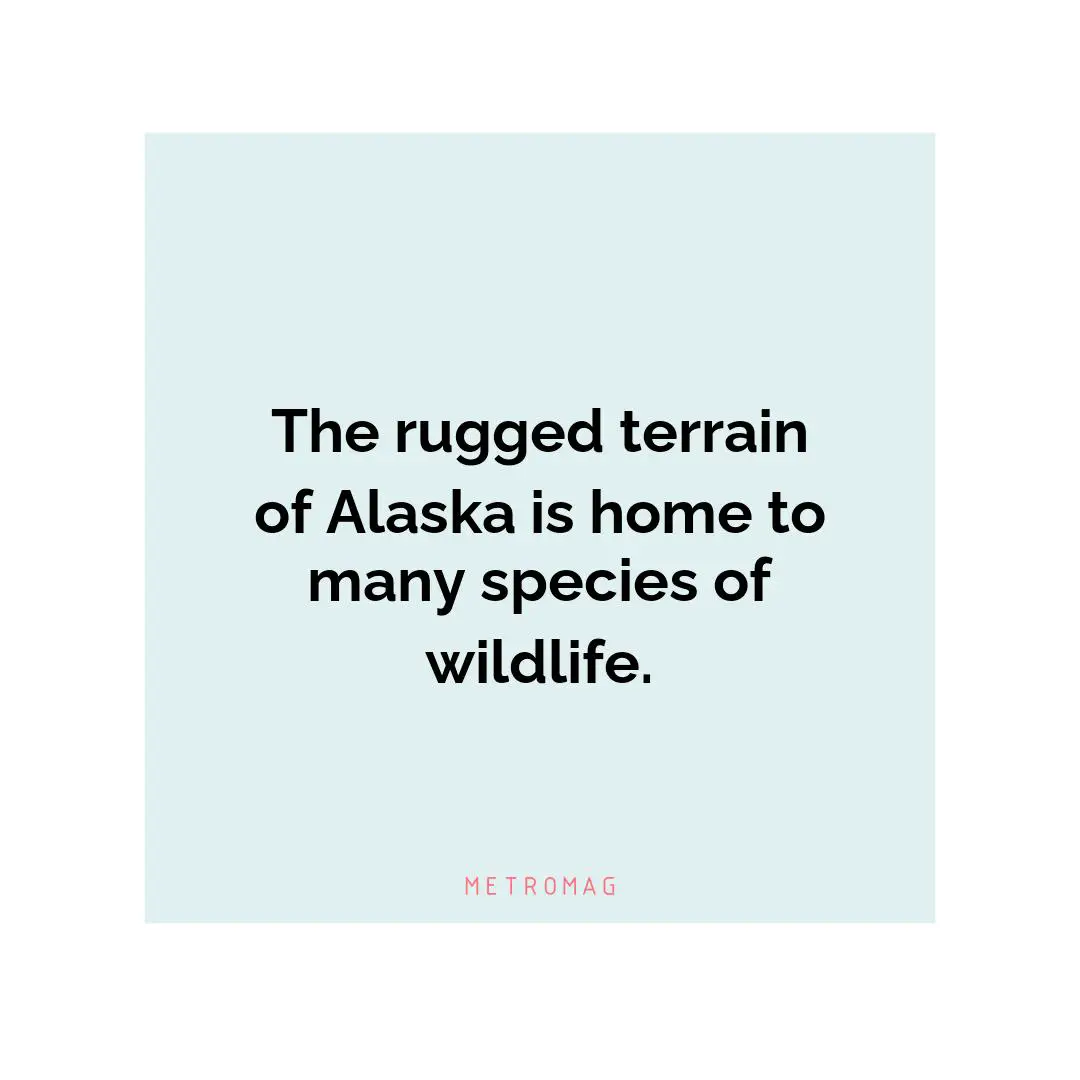 The rugged terrain of Alaska is home to many species of wildlife.