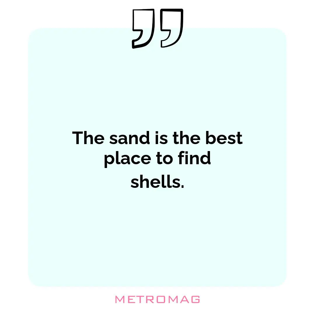 The sand is the best place to find shells.