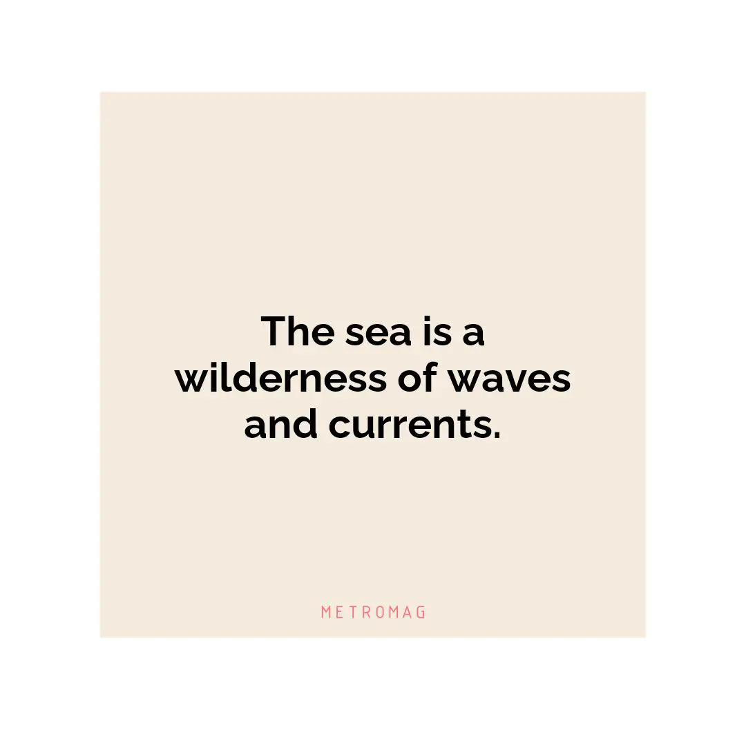 The sea is a wilderness of waves and currents.