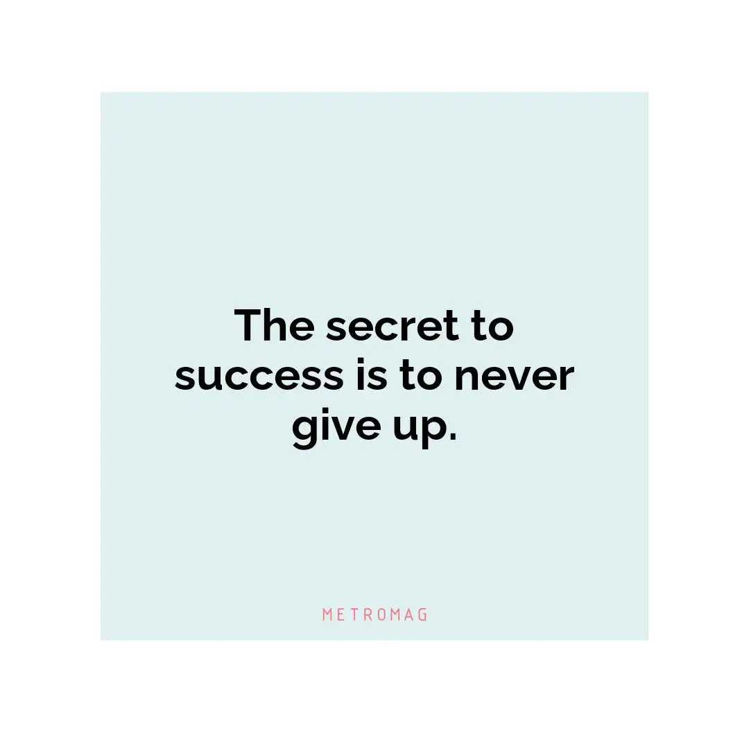 The secret to success is to never give up.
