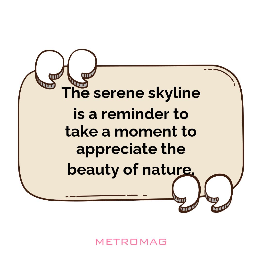 The serene skyline is a reminder to take a moment to appreciate the beauty of nature.