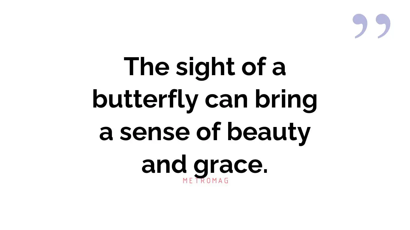 The sight of a butterfly can bring a sense of beauty and grace.