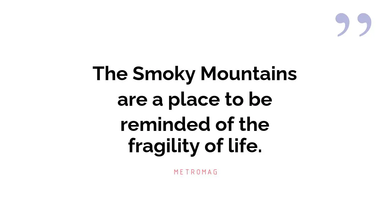The Smoky Mountains are a place to be reminded of the fragility of life.