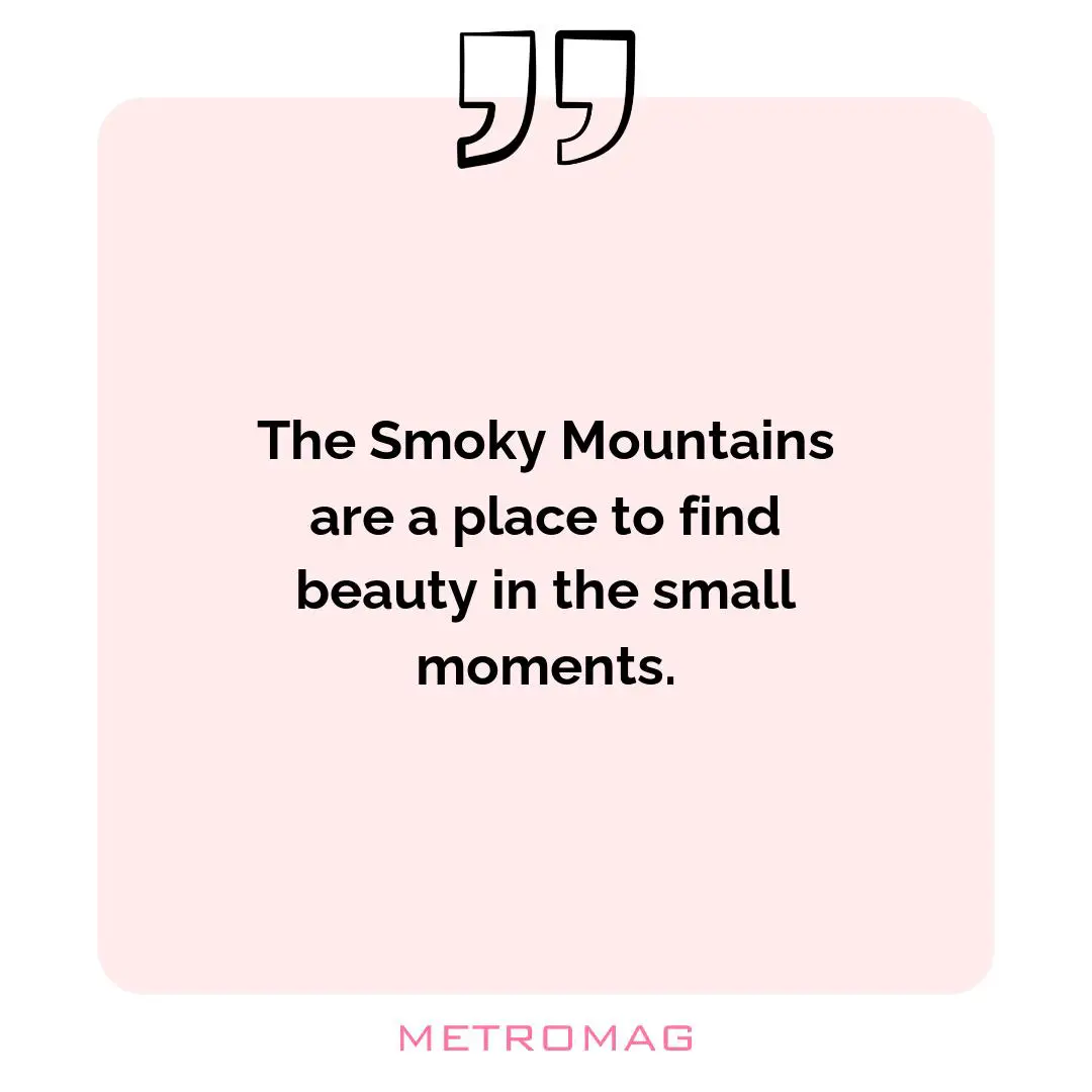 The Smoky Mountains are a place to find beauty in the small moments.