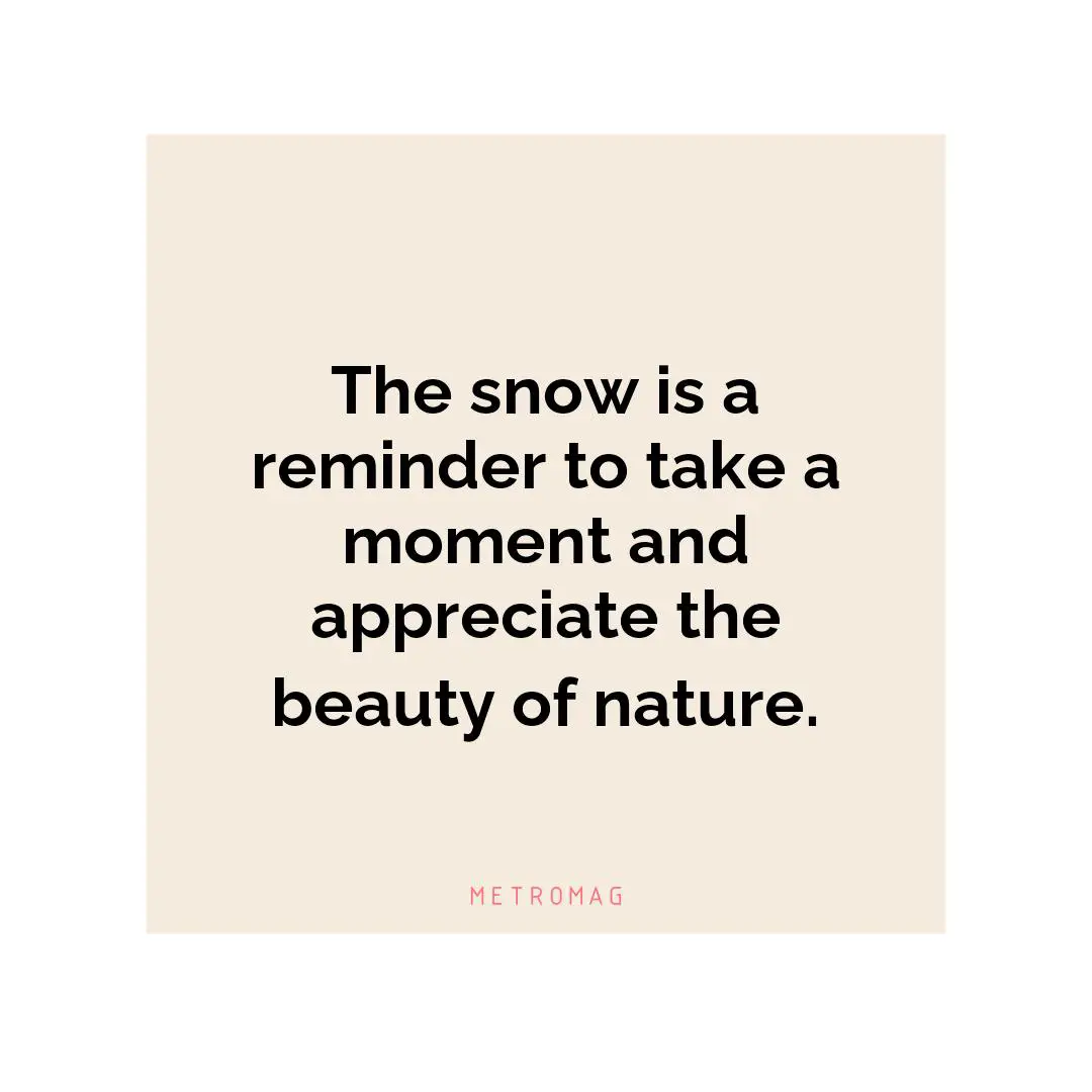 The snow is a reminder to take a moment and appreciate the beauty of nature.