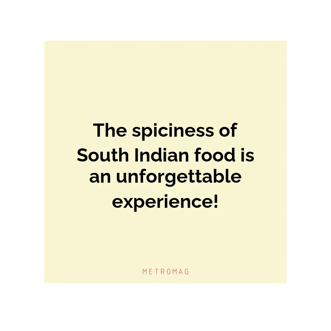The spiciness of South Indian food is an unforgettable experience!