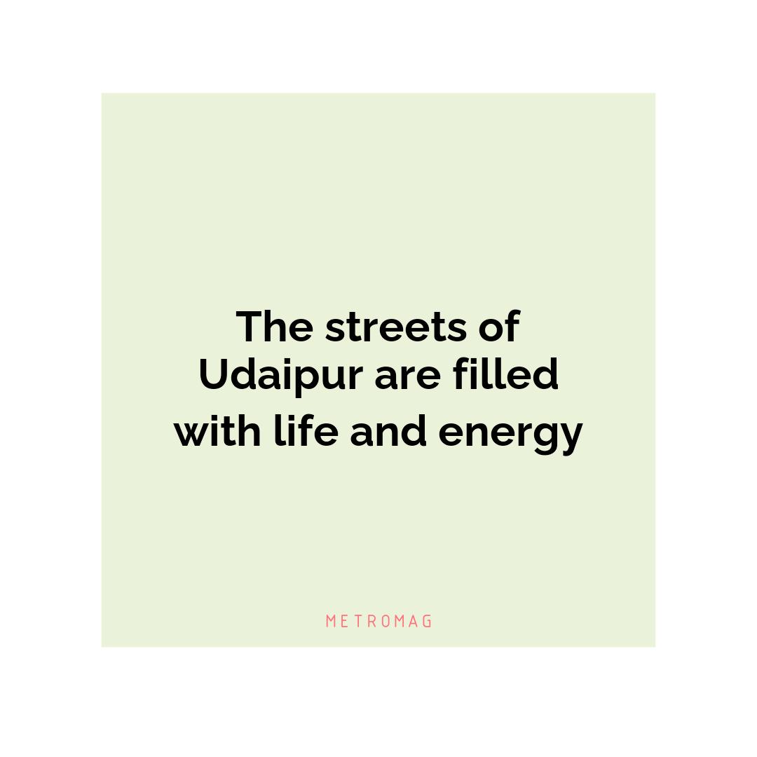 The streets of Udaipur are filled with life and energy