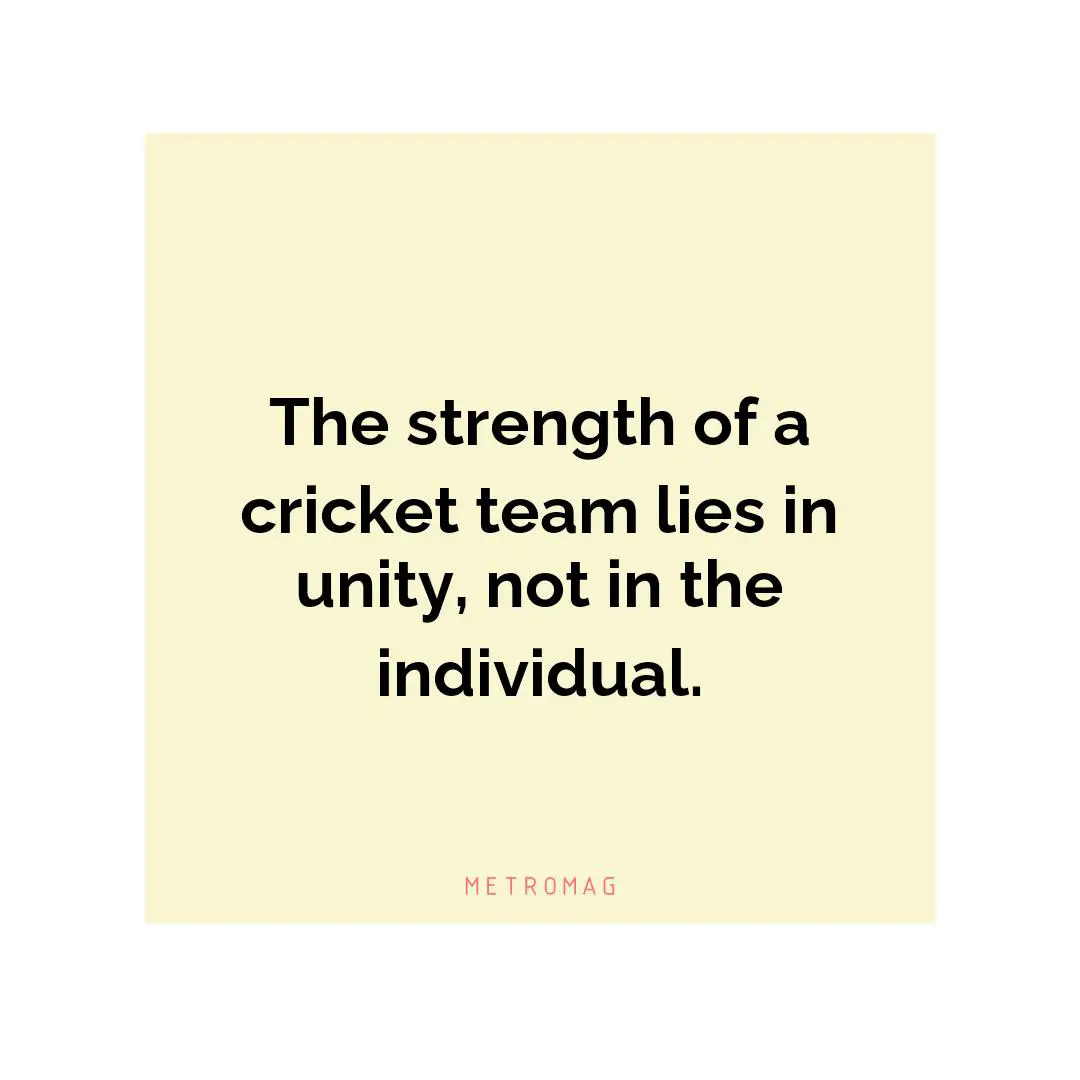 The strength of a cricket team lies in unity, not in the individual.