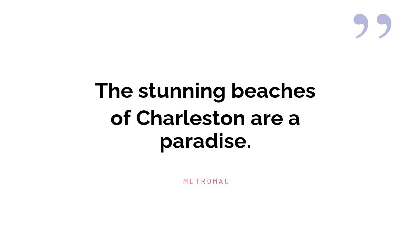 The stunning beaches of Charleston are a paradise.