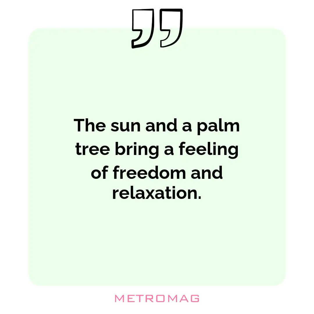 The sun and a palm tree bring a feeling of freedom and relaxation.