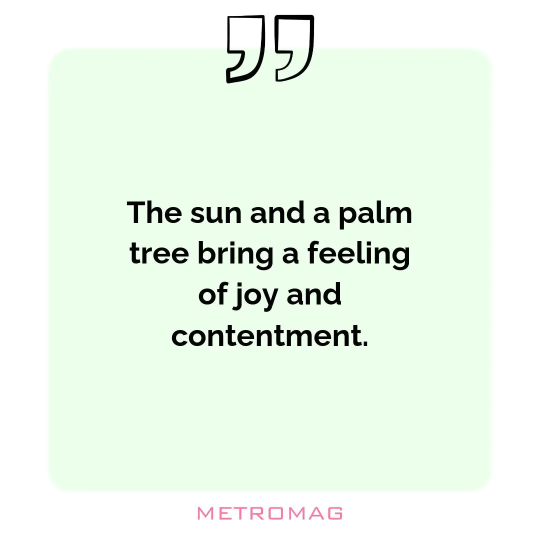 The sun and a palm tree bring a feeling of joy and contentment.
