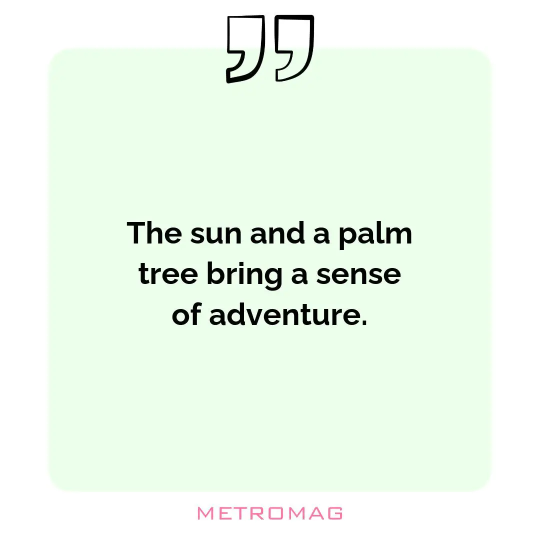The sun and a palm tree bring a sense of adventure.