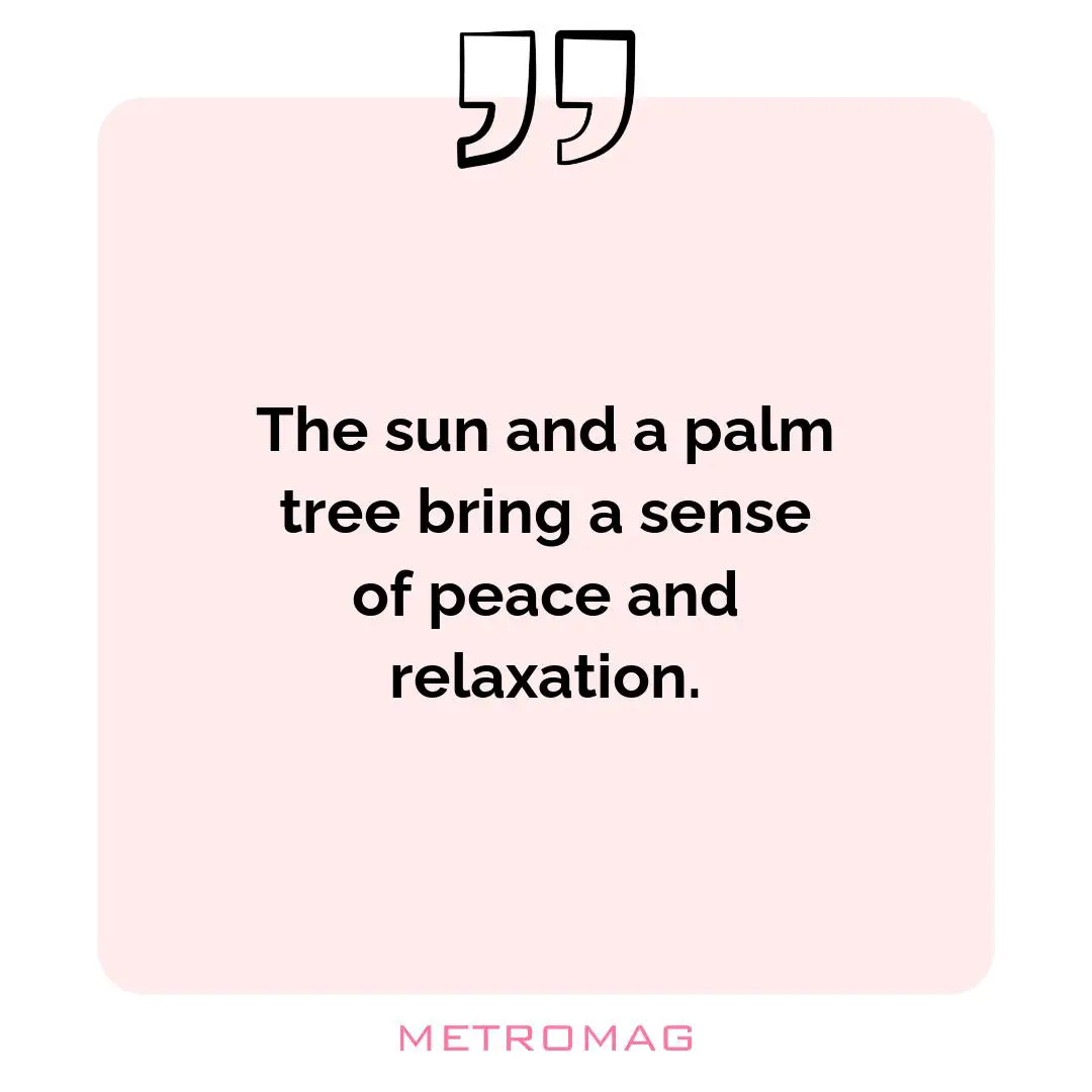 The sun and a palm tree bring a sense of peace and relaxation.