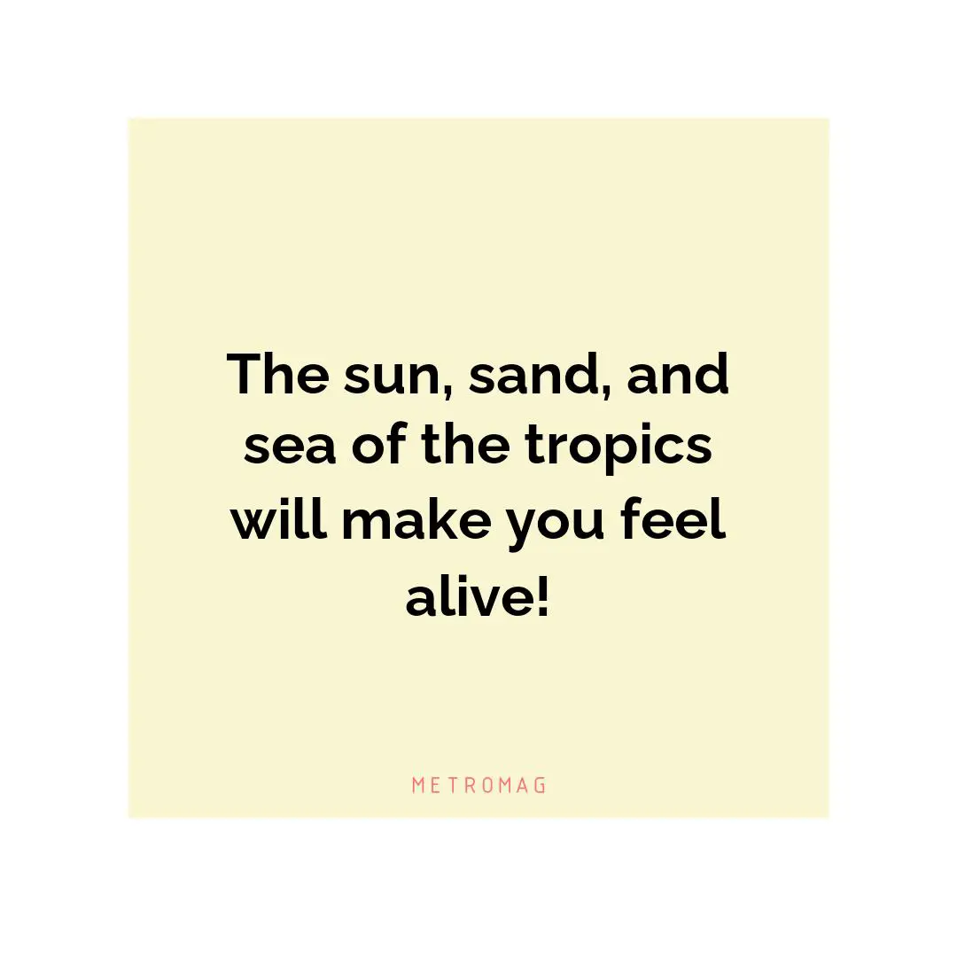 The sun, sand, and sea of the tropics will make you feel alive!