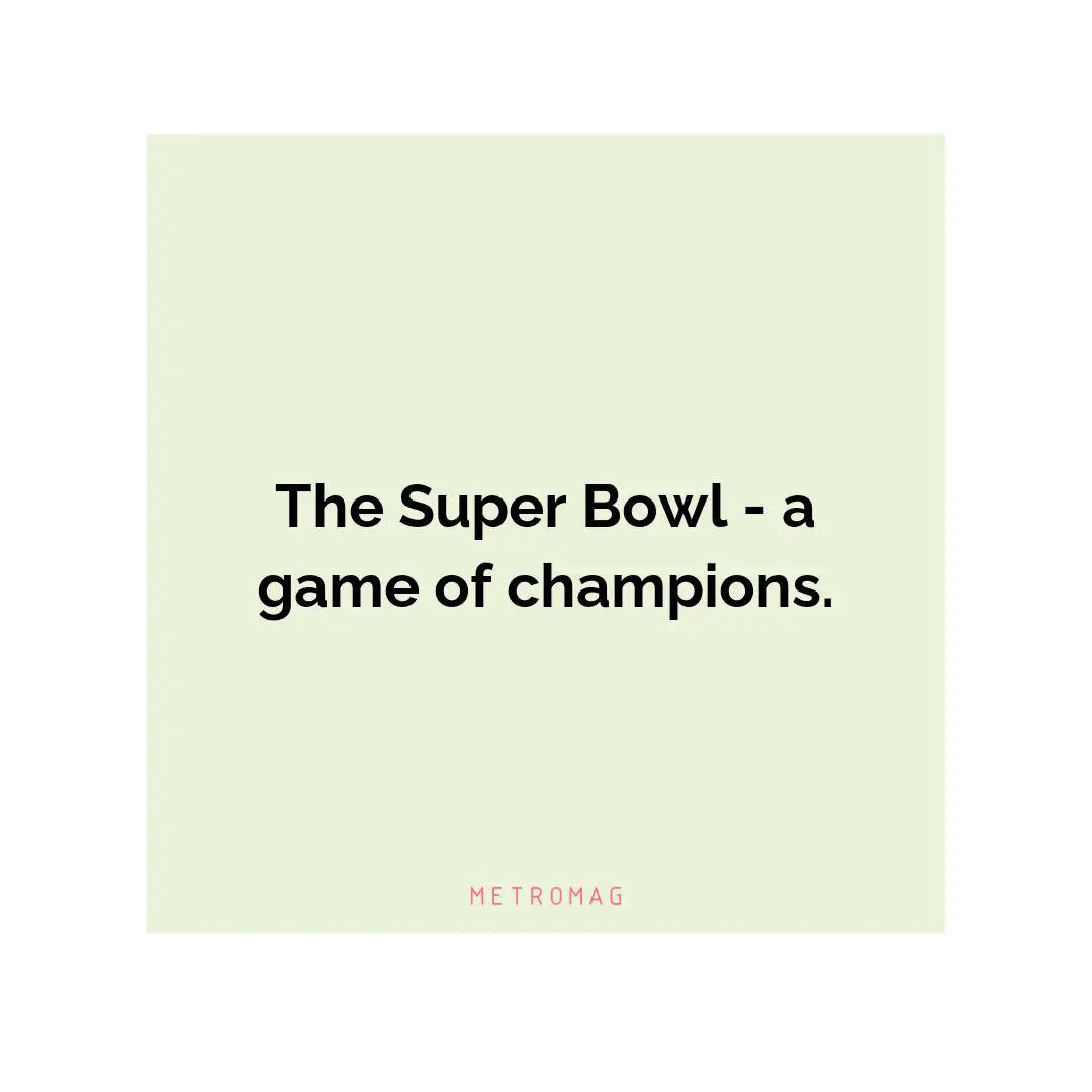 The Super Bowl - a game of champions.