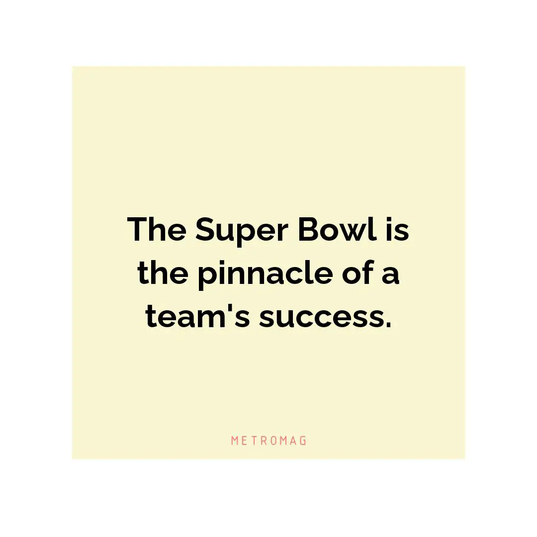 The Super Bowl is the pinnacle of a team's success.
