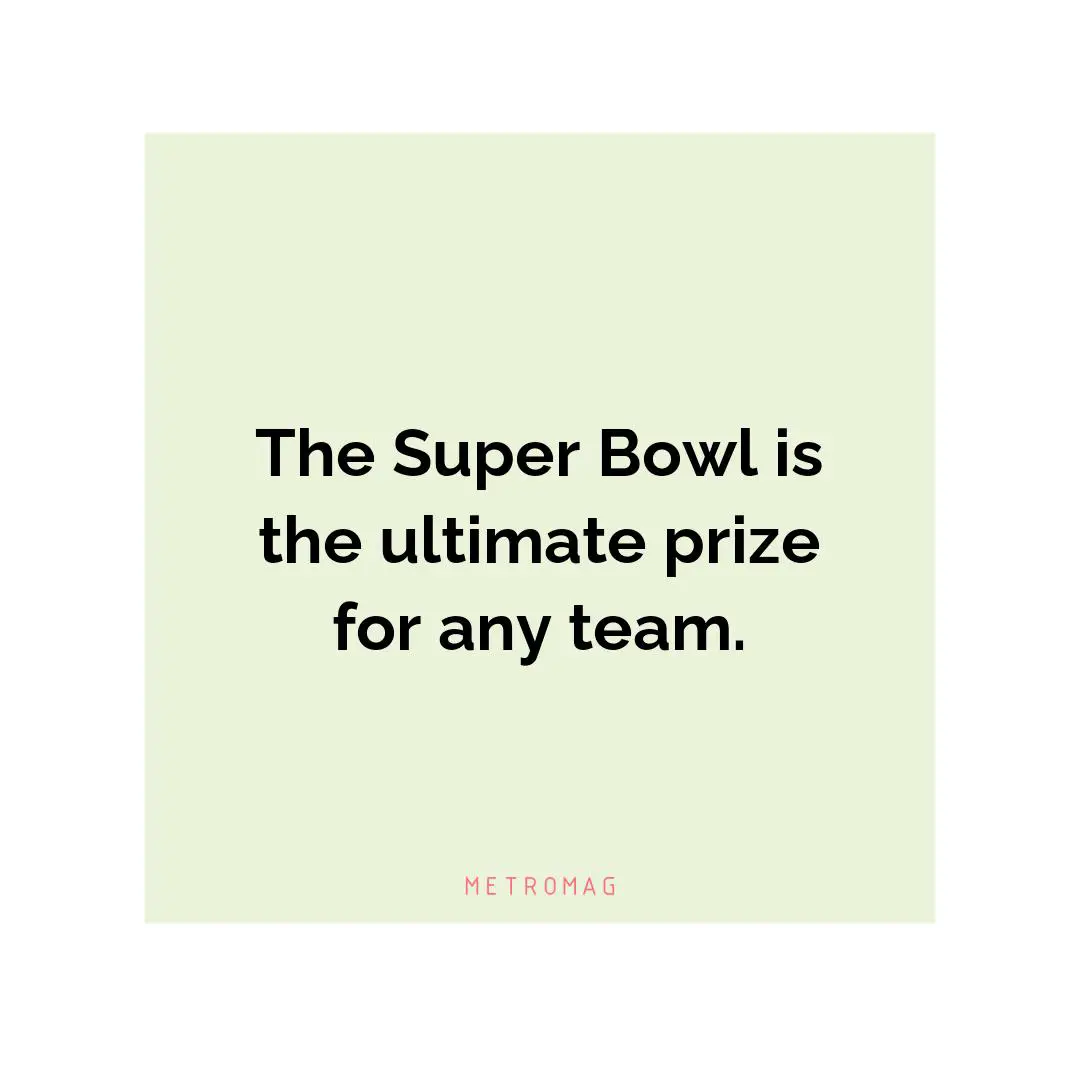 The Super Bowl is the ultimate prize for any team.
