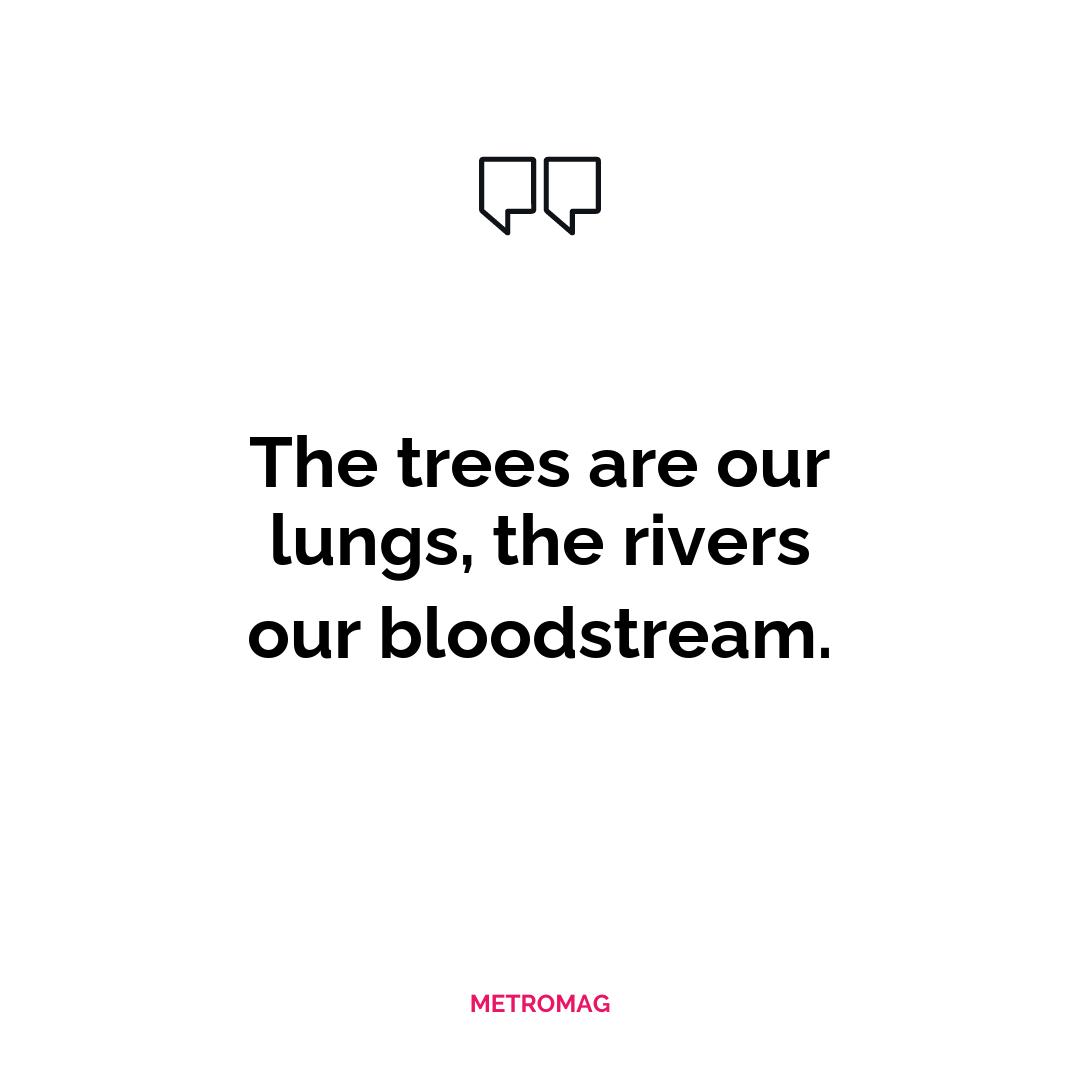 The trees are our lungs, the rivers our bloodstream.