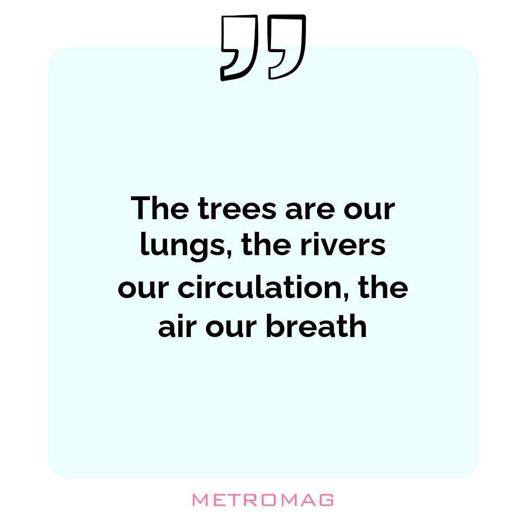 The trees are our lungs, the rivers our circulation, the air our breath