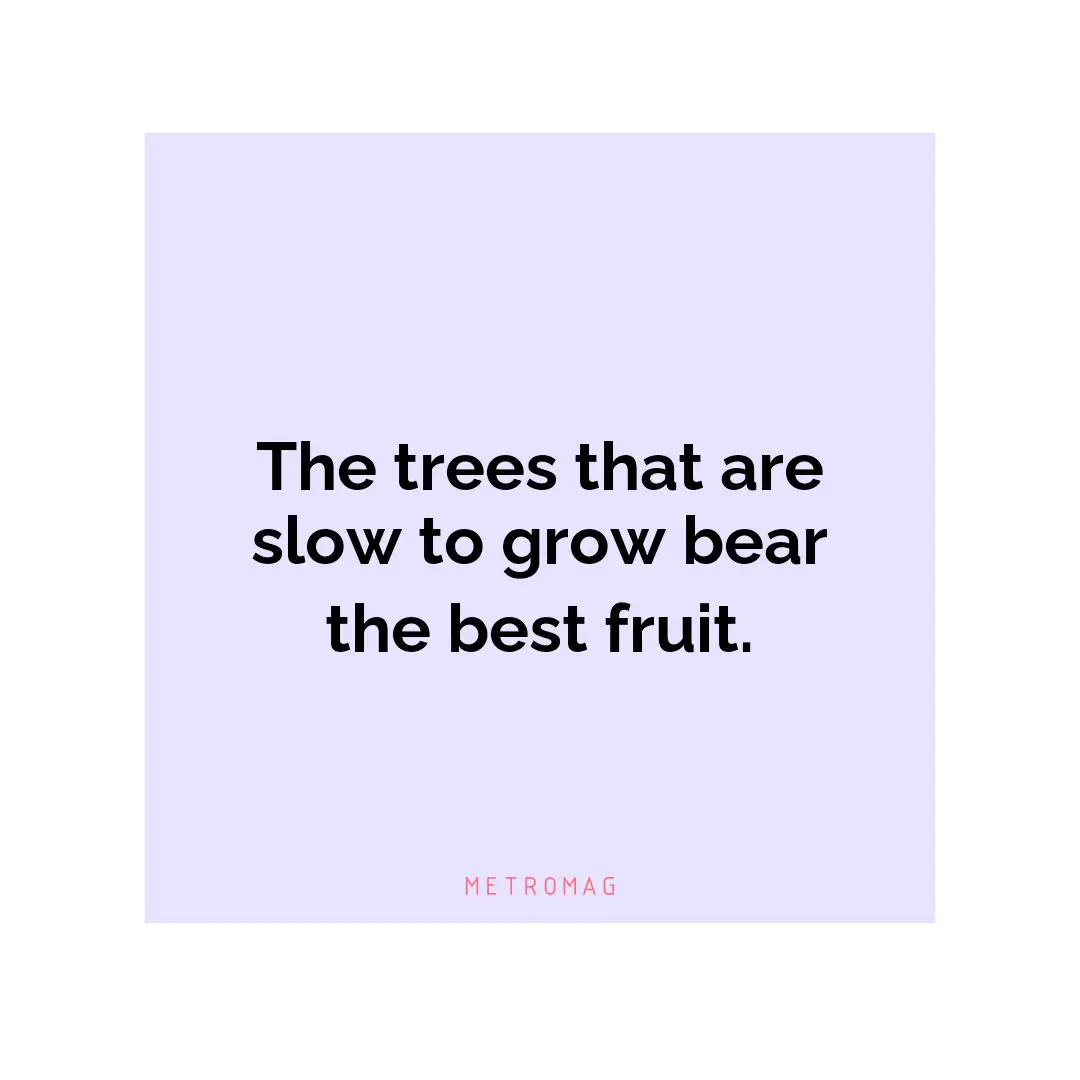 The trees that are slow to grow bear the best fruit.