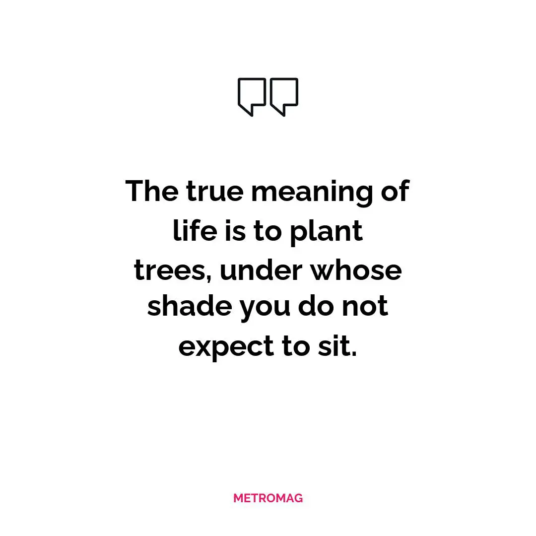 The true meaning of life is to plant trees, under whose shade you do not expect to sit.