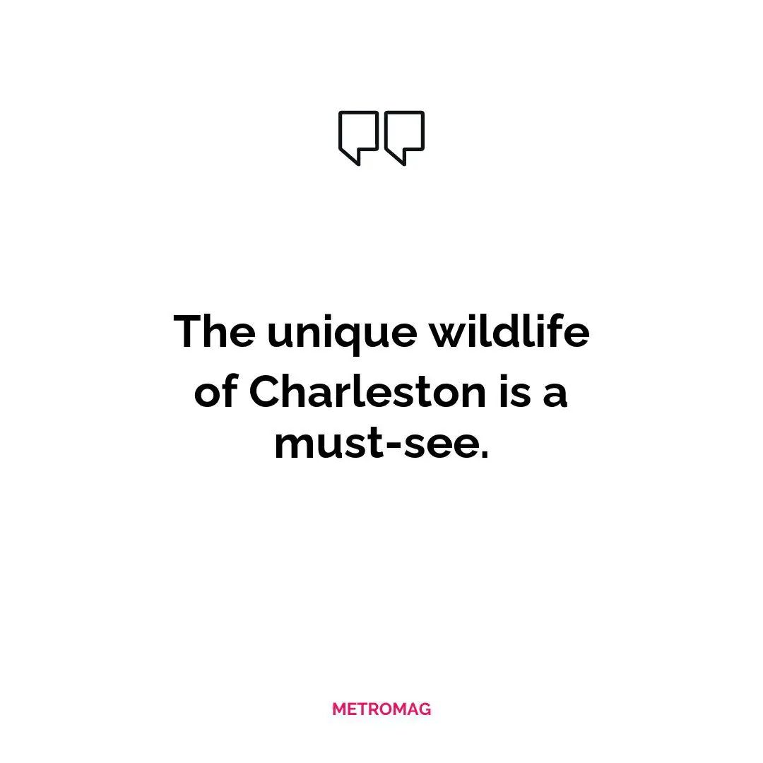 The unique wildlife of Charleston is a must-see.