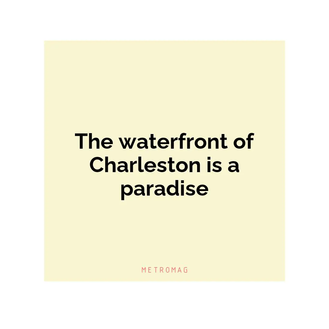 The waterfront of Charleston is a paradise