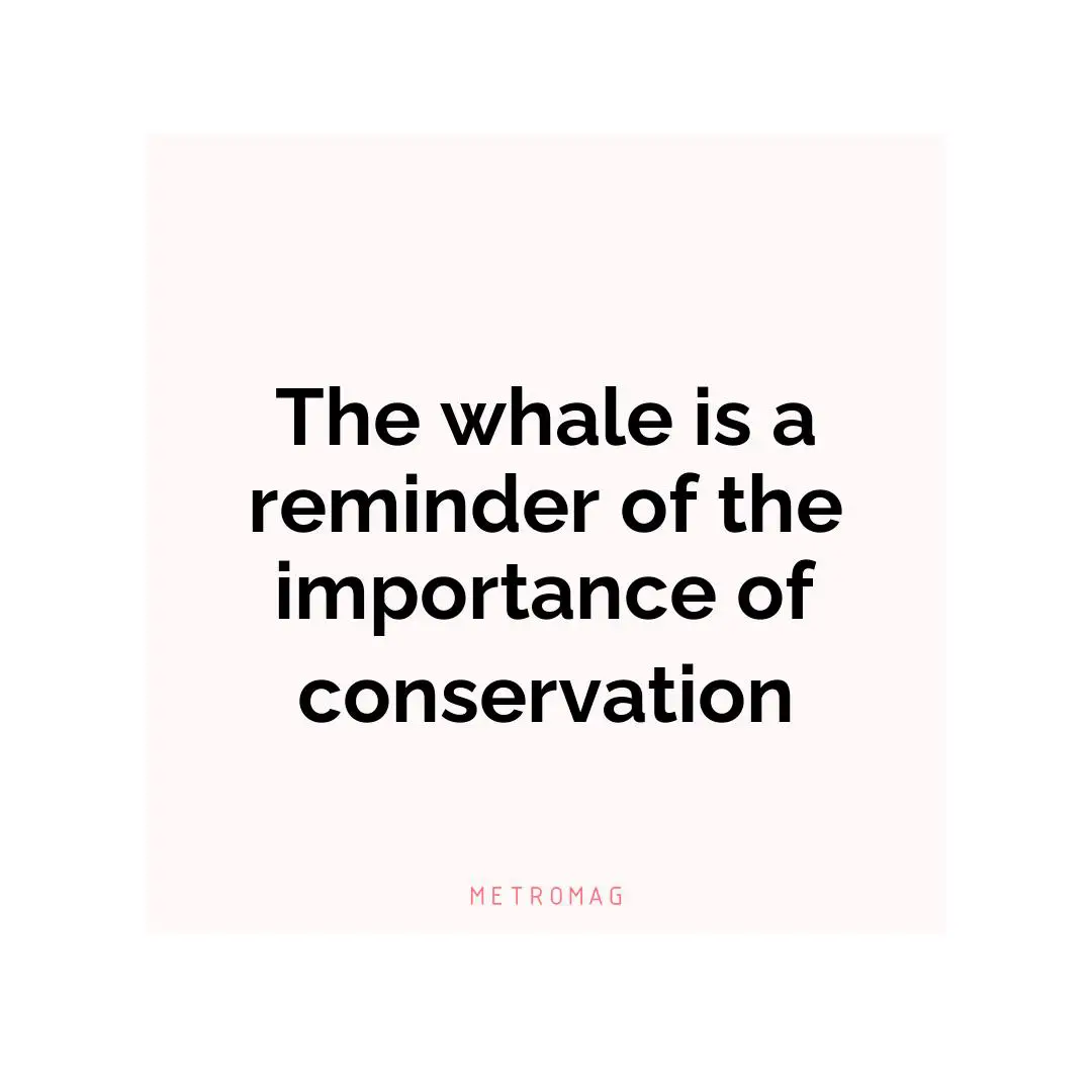 The whale is a reminder of the importance of conservation
