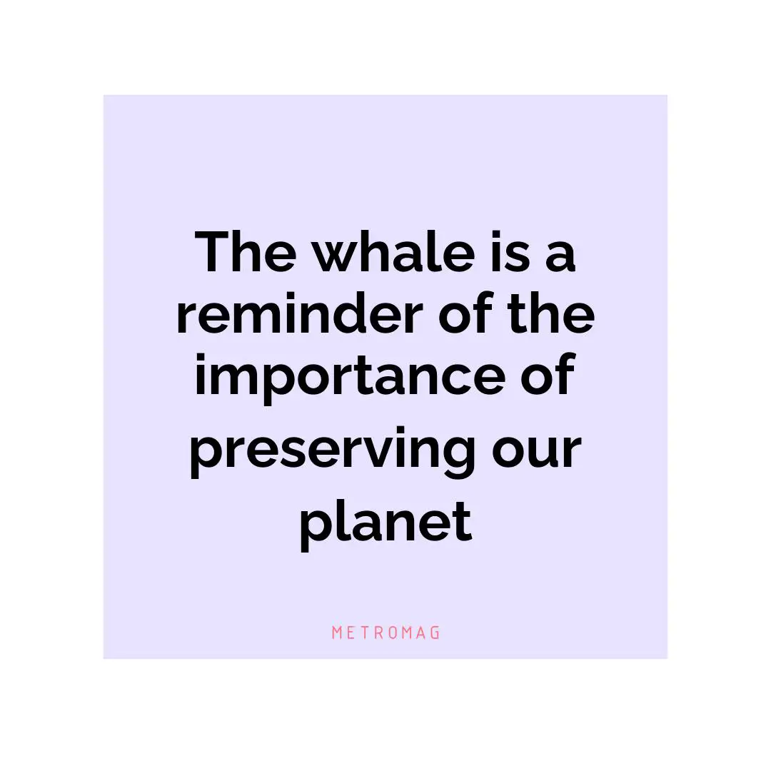 The whale is a reminder of the importance of preserving our planet