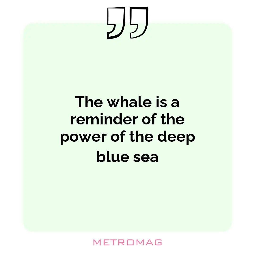 The whale is a reminder of the power of the deep blue sea