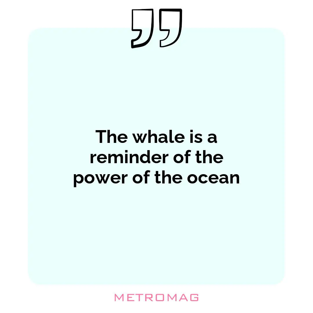 The whale is a reminder of the power of the ocean