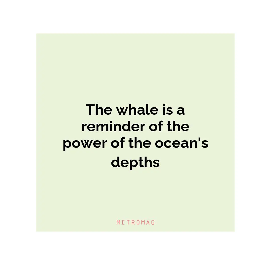 The whale is a reminder of the power of the ocean's depths