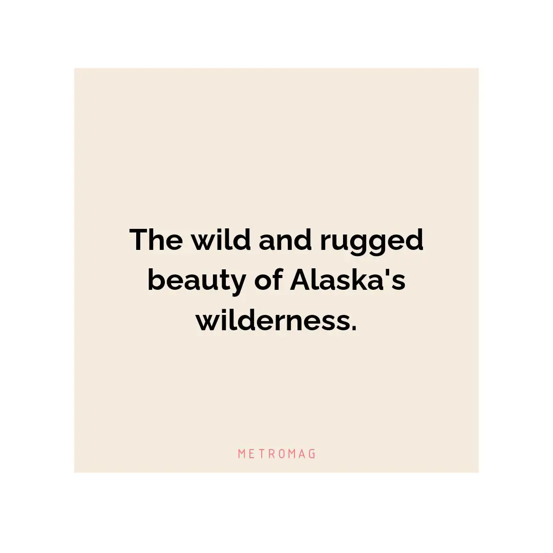 The wild and rugged beauty of Alaska's wilderness.