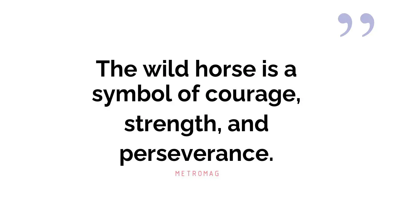 The wild horse is a symbol of courage, strength, and perseverance.