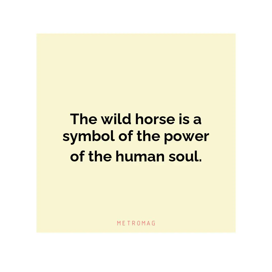 The wild horse is a symbol of the power of the human soul.
