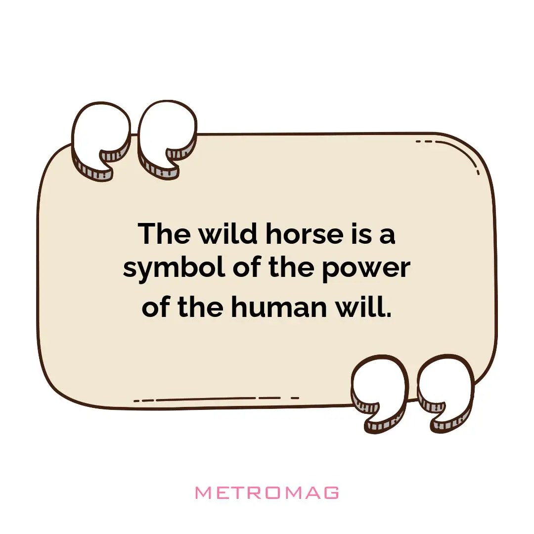 The wild horse is a symbol of the power of the human will.