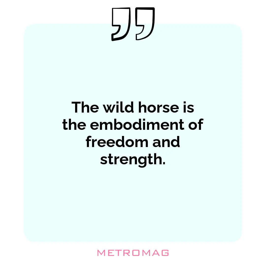 The wild horse is the embodiment of freedom and strength.